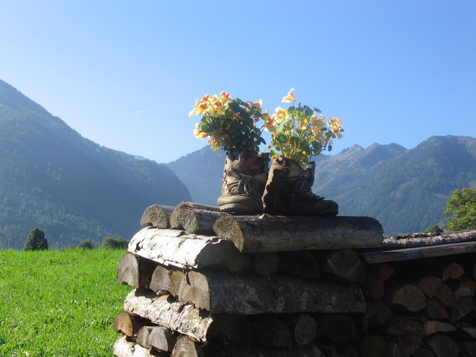 Landhaus Steiner Schladming Esterno foto