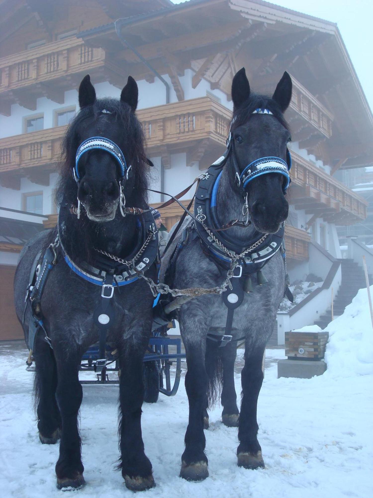 Landhaus Steiner Schladming Esterno foto