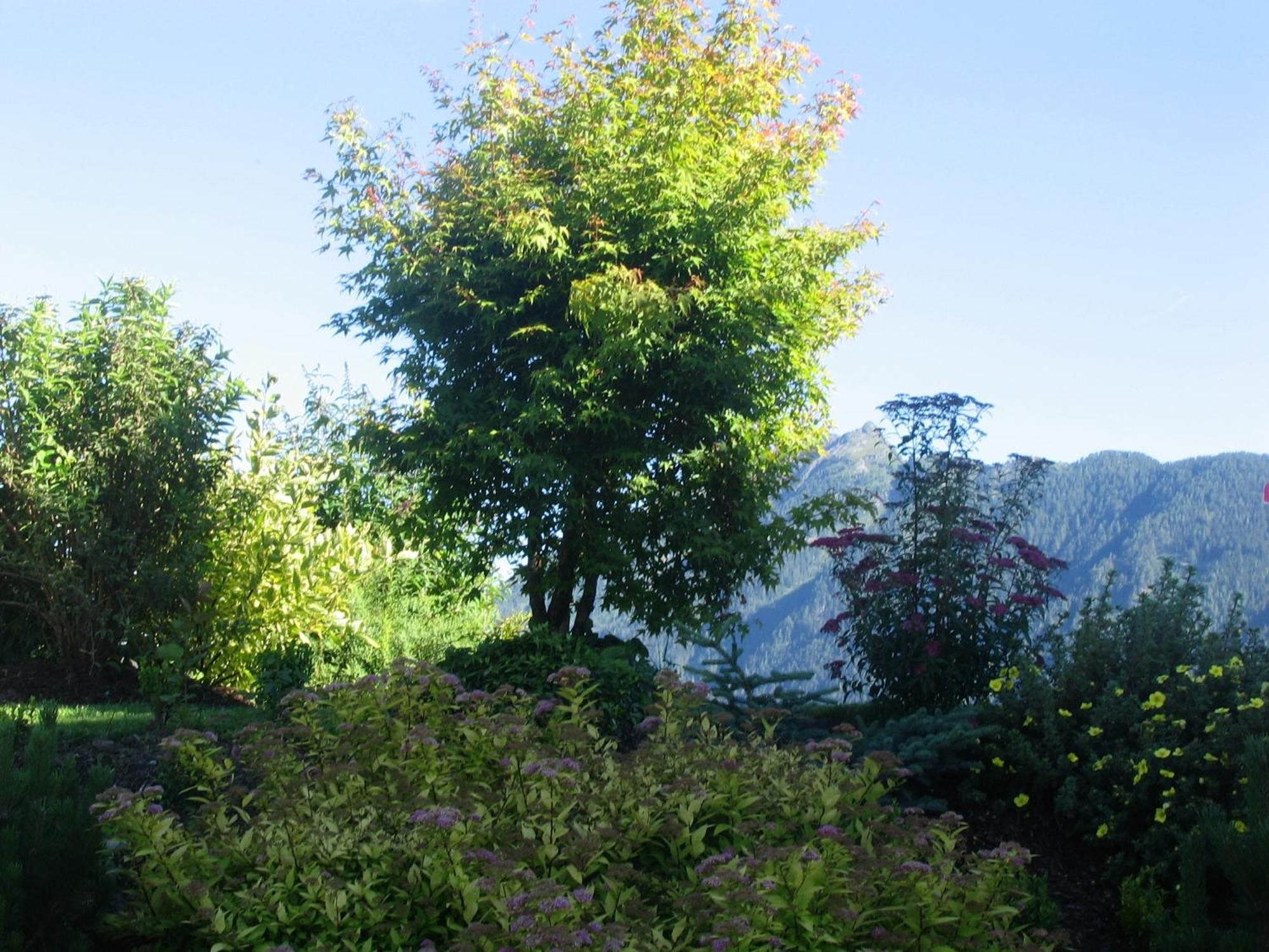 Landhaus Steiner Schladming Esterno foto
